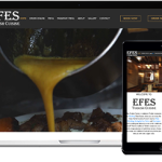 Website Development And Design in Canton, Michigan